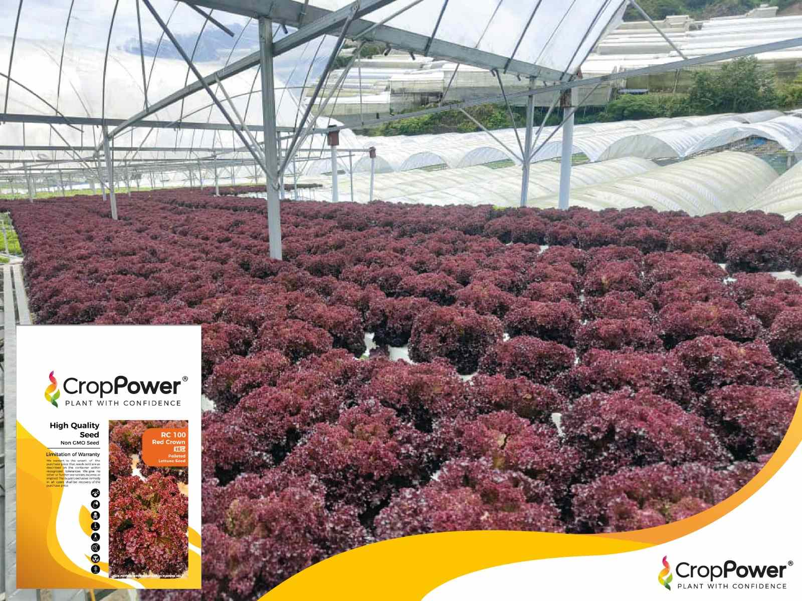 Red Crown – Crop Power Sdn Bhd